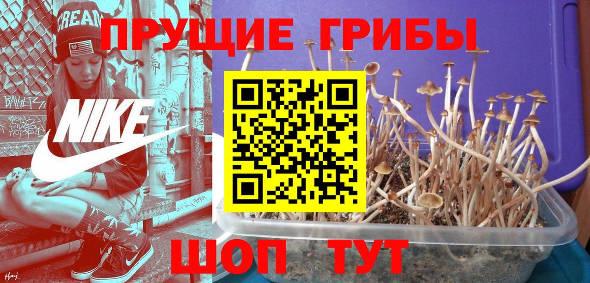 Галлюциногенные грибы мухоморы Одинцово