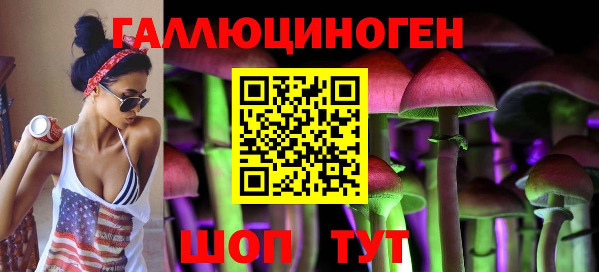 Одинцово  Псилоцибиновые грибы MAGIC MUSHROOMS  Вход с VPN  Псилоцибиновые грибы Psilocybine cubensis 